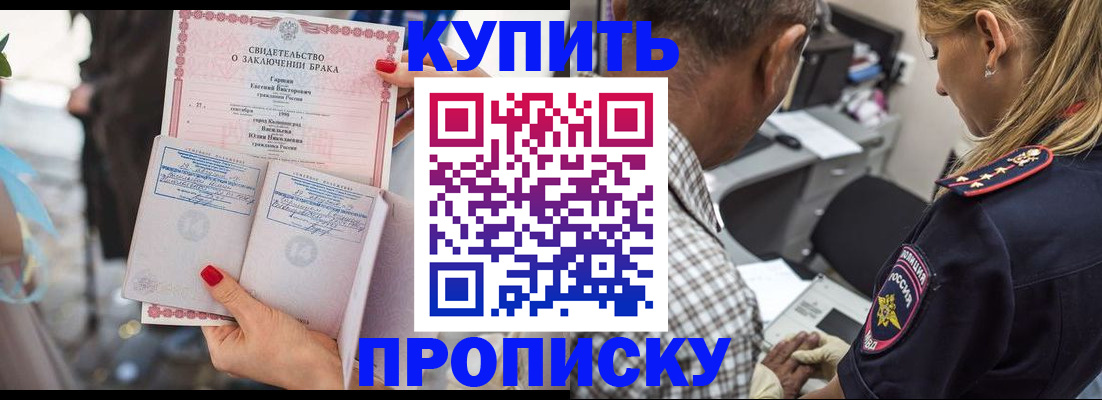 прописка законно в Соколе